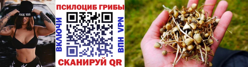 Галлюциногенные грибы ЛСД  omg   Советская Гавань 